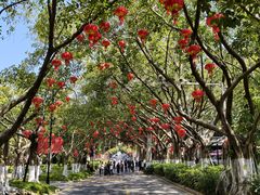 -厦门大学(思明校区)