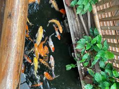 -上海大自然野生昆虫馆(东方明珠·爬宠昆虫探索中心)