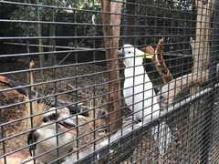 -费瑟代尔野生动物园