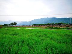 -章水镇文体中心