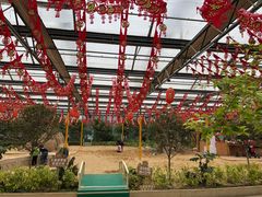 -南宫五洲植物乐园