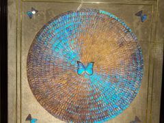 -上海昆虫博物馆