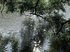 -滴水岩森林公园