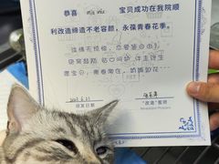 -芭比堂动物医院·心脏专科·夜诊·吉雅分院