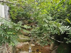 -老张烤羊(王哥庄店)