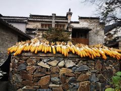 -塔川景区
