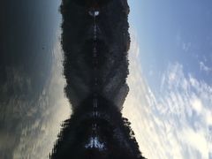 iphone_upload_pic-大明山自然探索公园