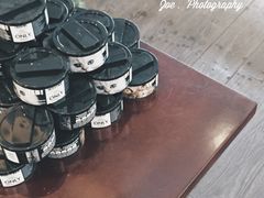 -吉丁鸟咖·异宠·寄养