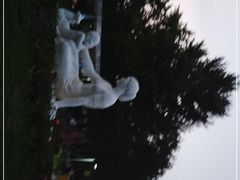 -古城公园