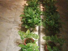 -禧瑞 ·丝浴主题·水疗·spa(中山公园店)