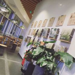 -悦诗风吟innisfree