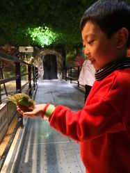 -酷嗒动物文化乐园(cutezoo西溪乐天城店)