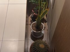 -泰合玺·精油疗愈 SPA(南京河西万达店)