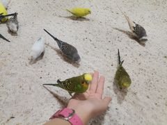 -上海大自然野生昆虫馆(东方明珠·爬宠昆虫探索中心)
