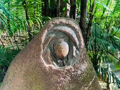 -呀诺达热带雨林