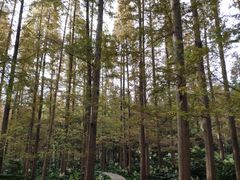 -上海怡沁园度假酒店