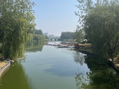 -大兴滨河森林公园