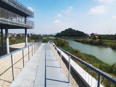 -下渚湖国家湿地公园科普馆