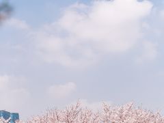-龙美术馆(西岸馆)