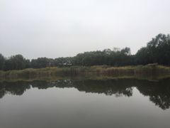 -永定河休闲森林公园