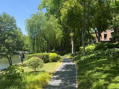 -新江湾城公园