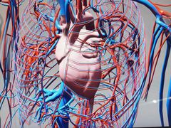 -Sony Store 索尼(上海淮海中路店)