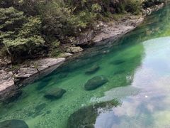 -石台牯牛降景区