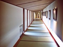 -滨千鸟之汤 海舟