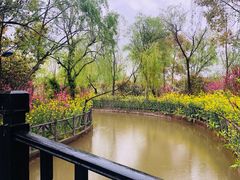 -南汇桃花村
