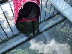 -梦幻奥陶纪景区