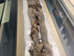 -巴音郭楞蒙古自治州博物馆