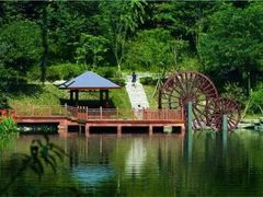 -重庆彩云湖湿地公园
