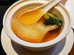 清炖菜胆花胶公-福院