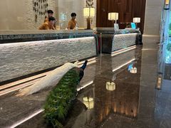 -西双版纳融创皇冠假日度假酒店