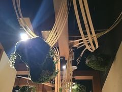 -觅唐MITONG(鸟巢店)