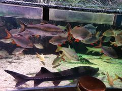 -太平洋海底世界