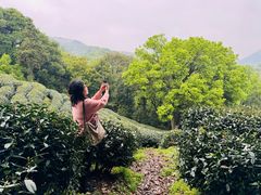 -西湖风景区十里琅珰-五云山