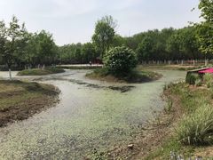 -东郊湿地公园