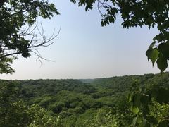 -大青沟风景区
