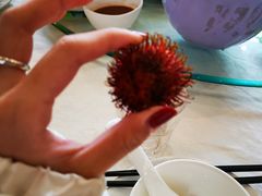 -椿记烧鹅(叠彩店)