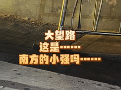 -大望路(地铁站)