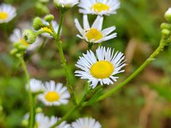 -渭河城市绿地运动公园