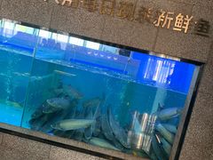 水产区-淘米捞·米汤脆鲩鱼火锅(福田皇岗店)