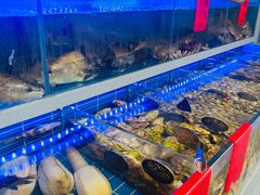 -金海湾海鲜排档(朱家尖店)