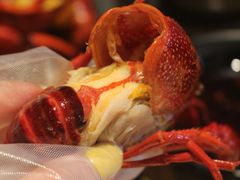 -肥肥虾庄·金牌油焖大虾(汉街SKP店)