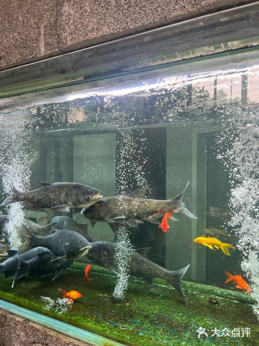 又见炊烟私房菜(敬亭路店)图片