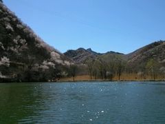 -辛玛王国游乐园