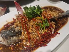 -杨氏青龙虾·羊蝎子(托乐嘉店)