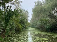 -溱湖国家湿地公园