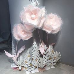 -MuseMarry婚纱(前海嘉里中心店)